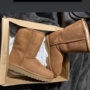 Ugg boots brown